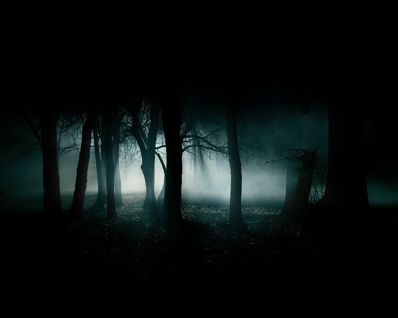 wallpaper dark forest